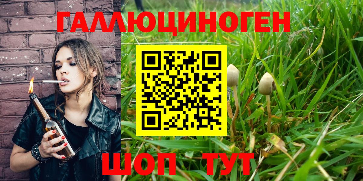 Галлюциногенные грибы прущие грибы Белгород